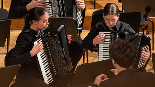 Harmonikarski orkester